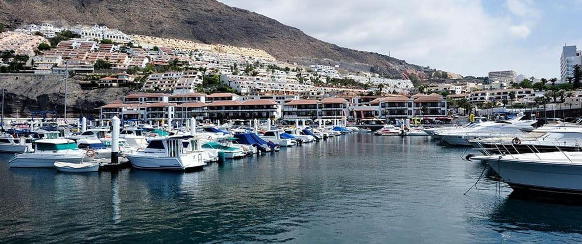 Ocean View Paradise In Los Gigantes Acantilado de los Gigantes المظهر الخارجي الصورة