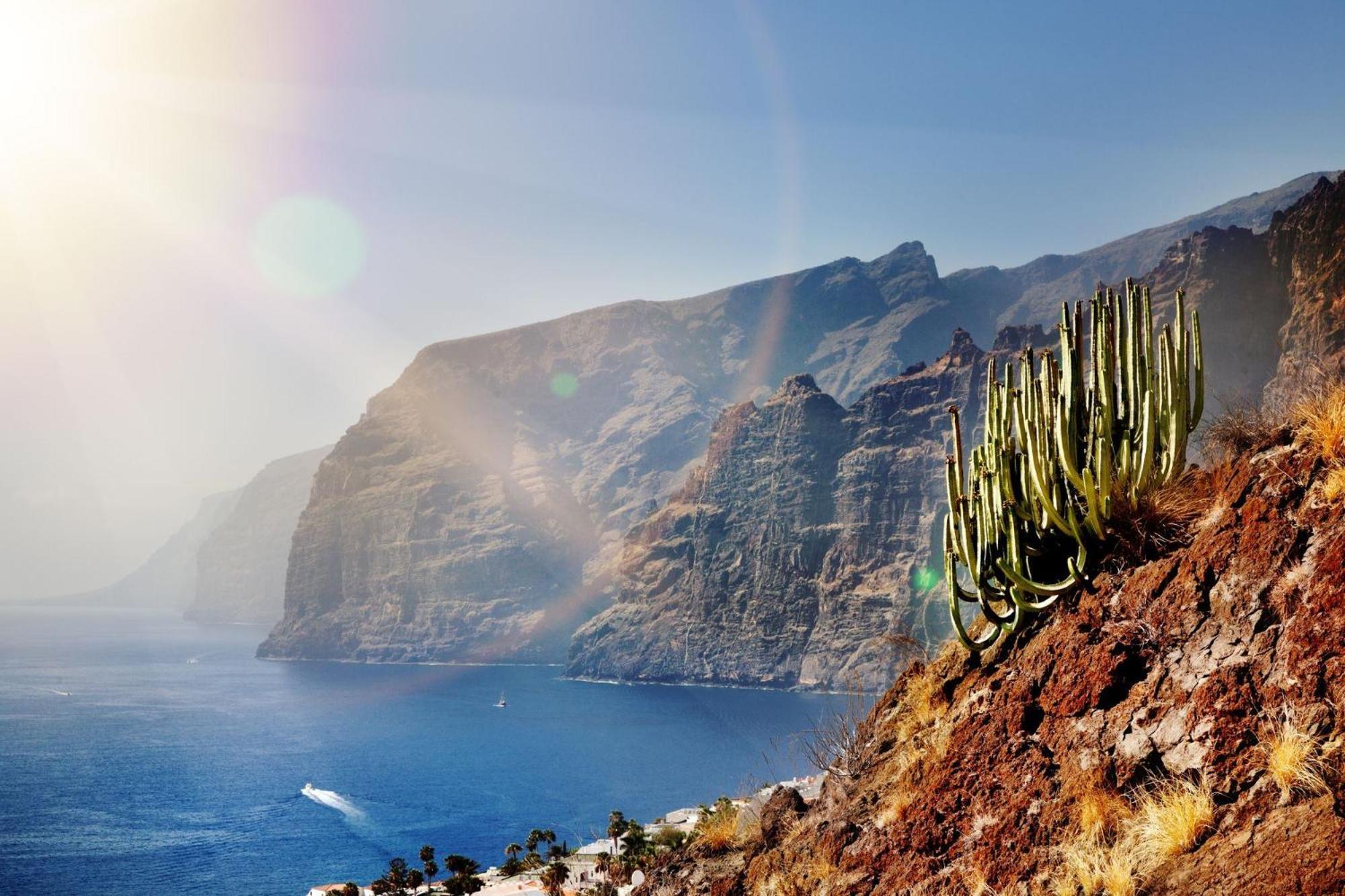 Ocean View Paradise In Los Gigantes Acantilado de los Gigantes المظهر الخارجي الصورة